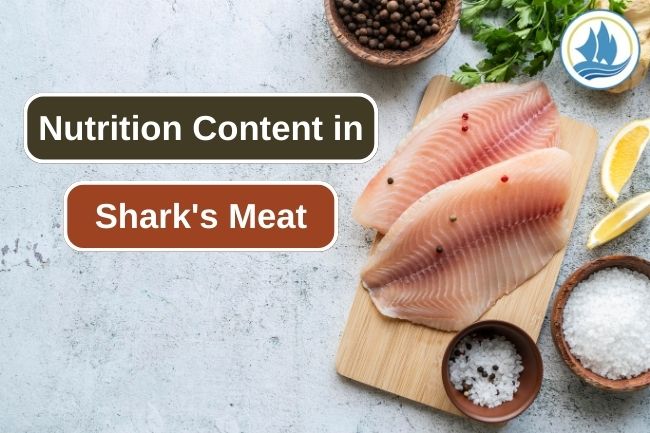 These Are Some Nutrition You Get From Shark Meat